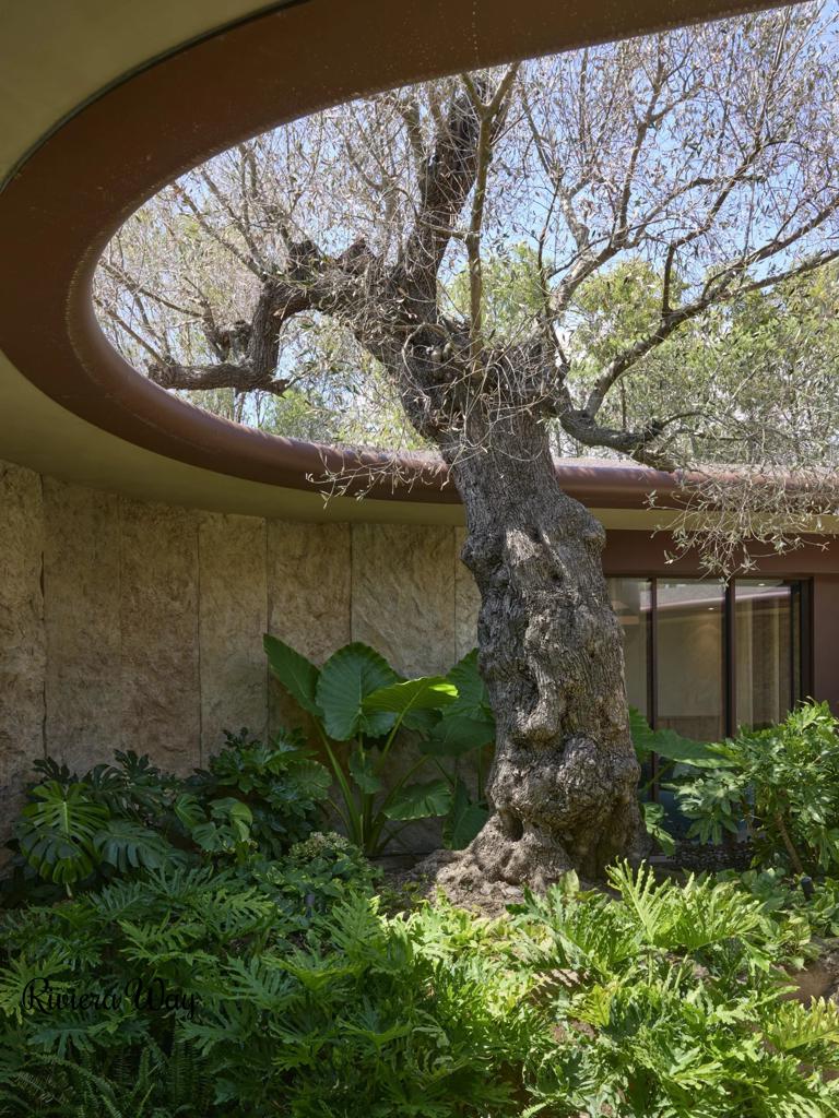 9-комн. вилла в Раматюеле, фото №4, объявление №103938240